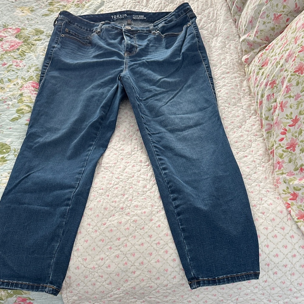 Torrid Classic Blue Jeans